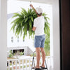 Glowing Artificial Boston Fern Jadvero