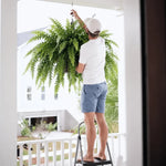 Glowing Artificial Boston Fern Jadvero