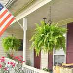 Glowing Artificial Boston Fern Jadvero