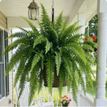 Glowing Artificial Boston Fern Jadvero
