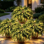 Glowing Artificial Boston Fern Jadvero
